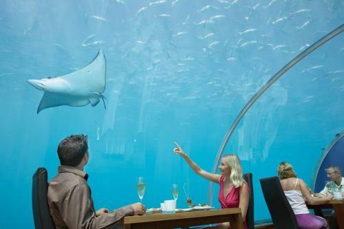 spectacul-undersea-restaurant02