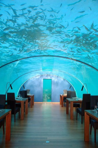 spectacul-undersea-restaurant04