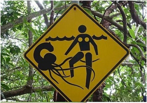 funny-warning-signs-effect09