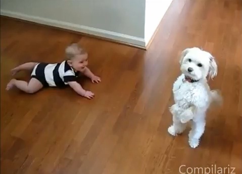 babies-laughing-at-dogs02
