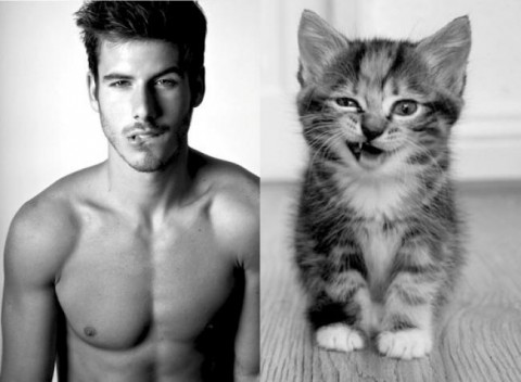 cats-and-male-models01