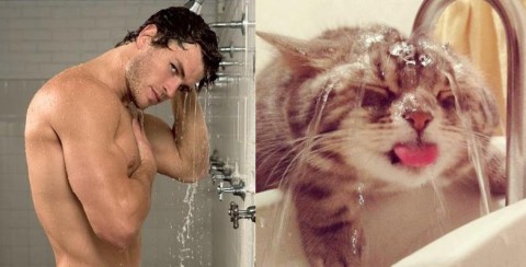 cats-and-male-models07