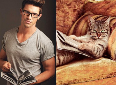 cats-and-male-models12