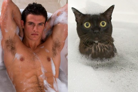 cats-and-male-models13