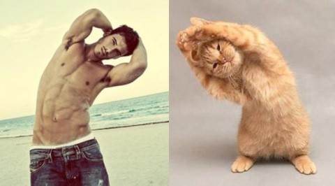 cats-and-male-models14