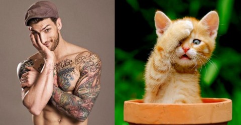 cats-and-male-models15