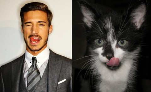 cats-and-male-models17