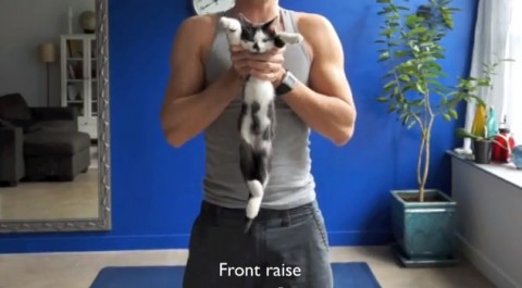 exercise-with-your-cats01