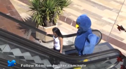 follow-me-remi-gaillard01