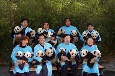 cute-panda-cub04
