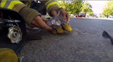 fireman-saves-kitten02