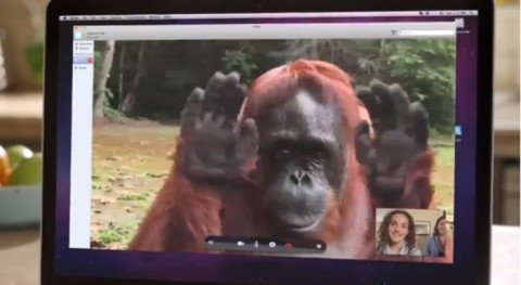 orangutan-asks-girl04