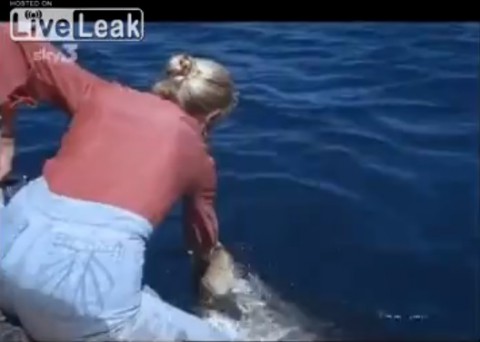 woman-hand-feeding-shark02