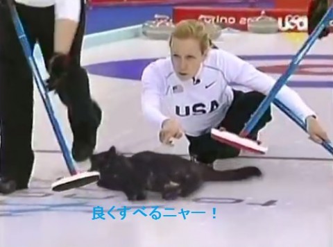 cat-curling02