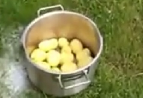 quick-way-to-peel-new-potatoes02