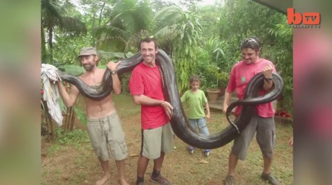 giant-anaconda-captured03
