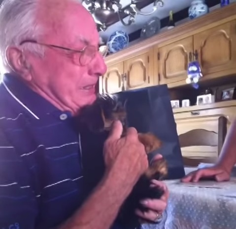 grandpapa-gets-a-puppy03
