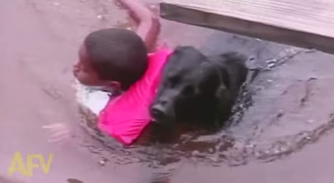 rescue-dog-saves-kid01
