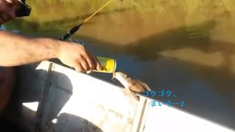 fish-drinking-beer-in-brazil02