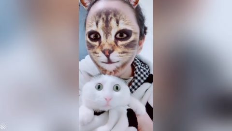 中毒性抜群 猫の顔に入れ替えたご主人と愛猫とのツーショット動画が面白い Viva Wマガジン